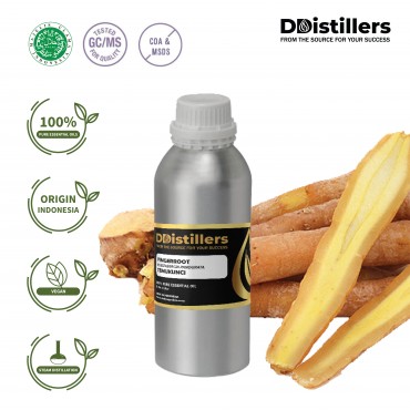 Fingerroot / Temukunci Essential Oil Pure 100% | Boesenbergia Pandurata
