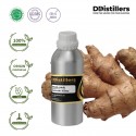 Ginger Wild / Lempuyang Wangi Essential Oil Pure 100% | Zingiber Aromaticum 