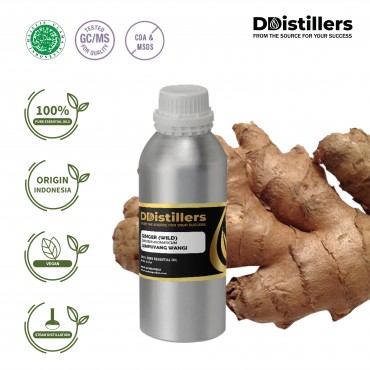 Ginger Wild / Lempuyang Wangi Essential Oil Pure 100% | Zingiber Aromaticum 