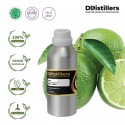 Lime / Jeruk Nipis Essential Oil Pure 100% | Citrus aurantifolia
