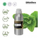 Origanum / Bunga Oregano Essential Oil Pure 100% | Origanum Vulgare
