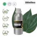 Pepper White Leaf / Daun Lada Putih Essential Oil Pure 100% | Piper Nigrum L.