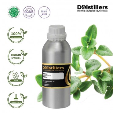 Thyme / Thyme Essential Oil Pure 100% | Thymus vulgaris