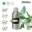 Borneo / Borneo Essential Oil Pure 100% | Alocasia Borneo / Borneo