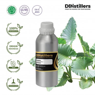Borneo / Borneo Essential Oil Pure 100% | Alocasia Borneo / Borneo