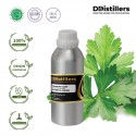 Coriander Leaf / Daun Ketumbar Essential Oil Pure 100% | Coriandrum Sativum / Ketumbar