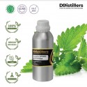 Patchouli Sulawesi / Nilam Sulawesi Essential Oil Pure 100% | Pogostemon Cablin
