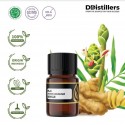 Plai / Bangle Essential Oil Pure 100% | Zingiber purpureum
