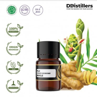 Plai / Bangle Essential Oil Pure 100% | Zingiber purpureum