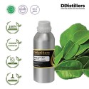 Kaffir Lime Leaf / Daun Jeruk Purut Essential Oil Pure 100% | Citrus hystrix
