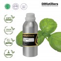 Basil Sweet / Selasih Essential Oil Pure 100% | Ocimum Basilicum / Selasih