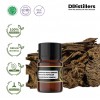 2ML GS 