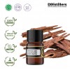 2ML GS 