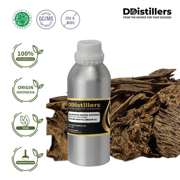 Agarwood Bouya Viscous / Aetoxylon Essential Oil Pure 100% | Aetoxylon Sympetalum / Gaharu Buaya
