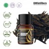 12ML GS 
