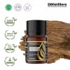 12ML GS 