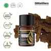 12ML GS 