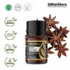 5ML GS 
