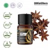 10ML GS 