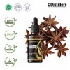 50ML GS 