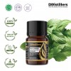 5ML GS 