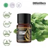 10ML GS 