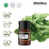 2ML GS 