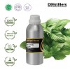1L SS 