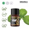 5ML GS 
