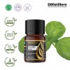 10ML GS 