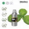 500ML SS 