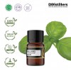 2ML GS 