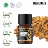 5ML GS 