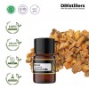 2ML GS 