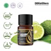 10ML GS 