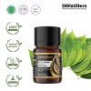 5ML GS 