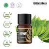 10ML GS 