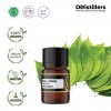 2ML GS 