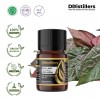 5ML GS 
