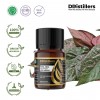 10ML GS 