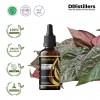 50ML GS 