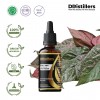 100ML GS 