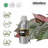 500ML SS 