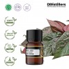 2ML GS 