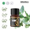 10ML GS 