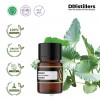 2ML GS 