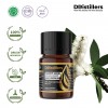 5ML GS 