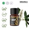 10ML GS 
