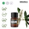 2ML GS 