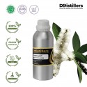 Cajuput Java / Kayu Putih Jawa Essential Oil Pure 100% | Melaleuca Cajuputi / Kayu Putih Jawa